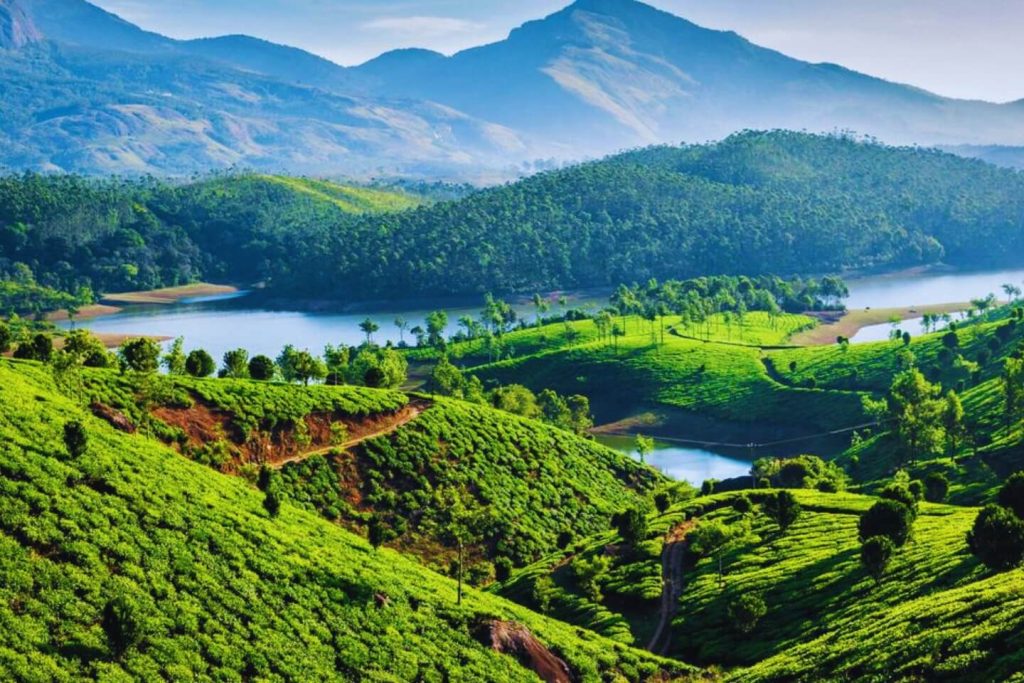 tour plan for munnar