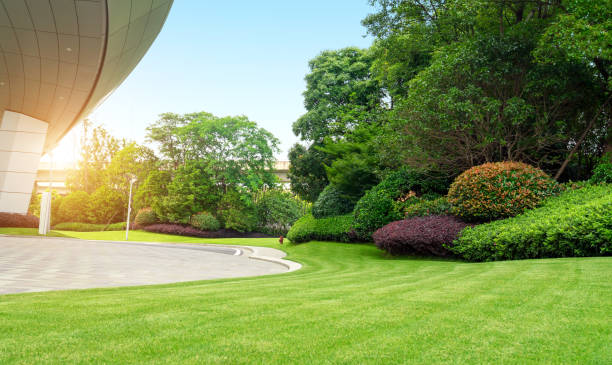 landscaping companies in Dubai